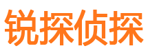 龙安市调查公司